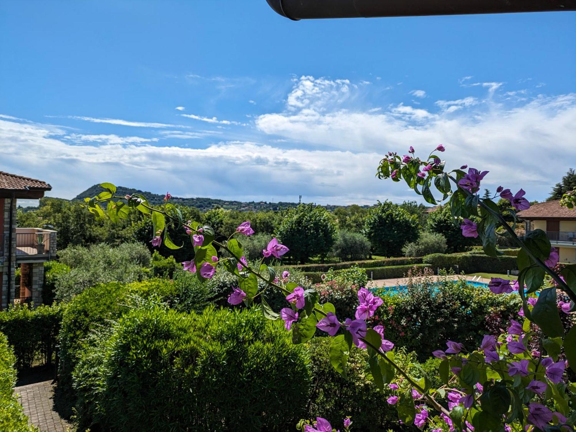 La Fenice Holiday Apartment Manerba del Garda Dış mekan fotoğraf