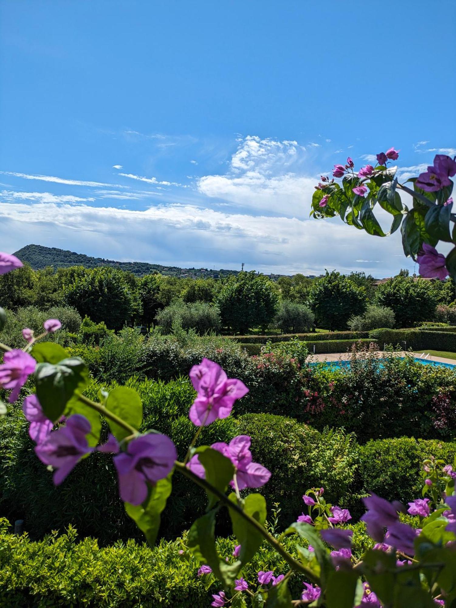 La Fenice Holiday Apartment Manerba del Garda Dış mekan fotoğraf